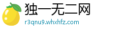 独一无二网